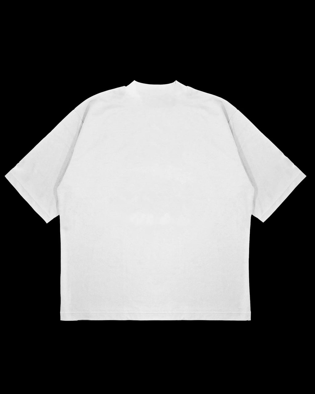 Master Roshi Oversized Tshirt for Men and Women